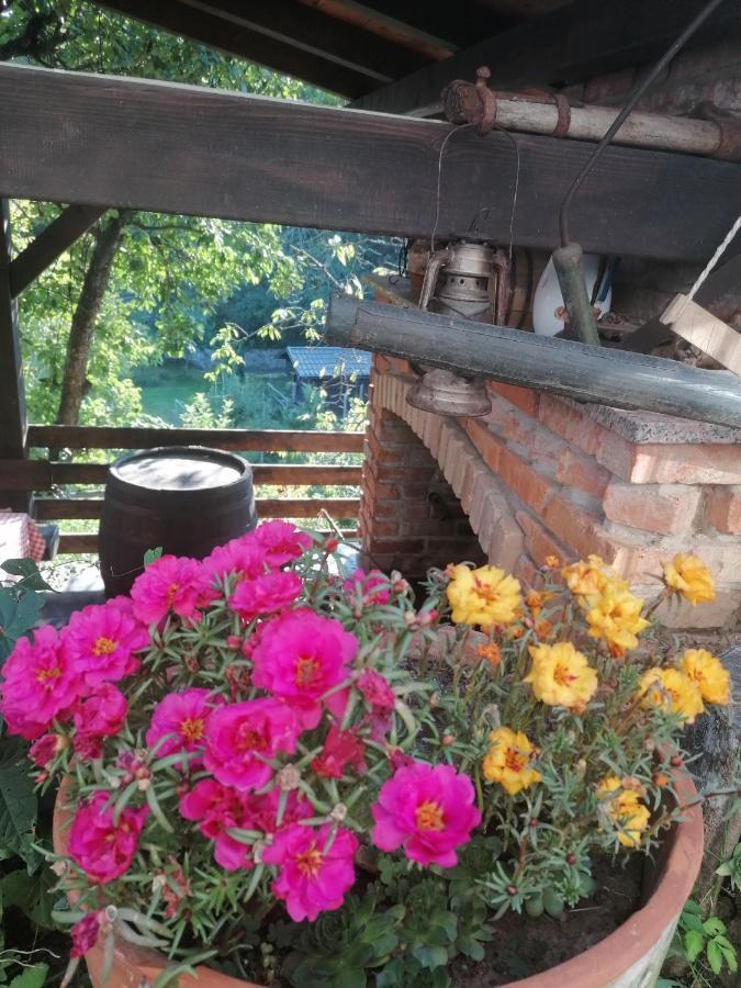 Holiday Home Lana Fužine Esterno foto
